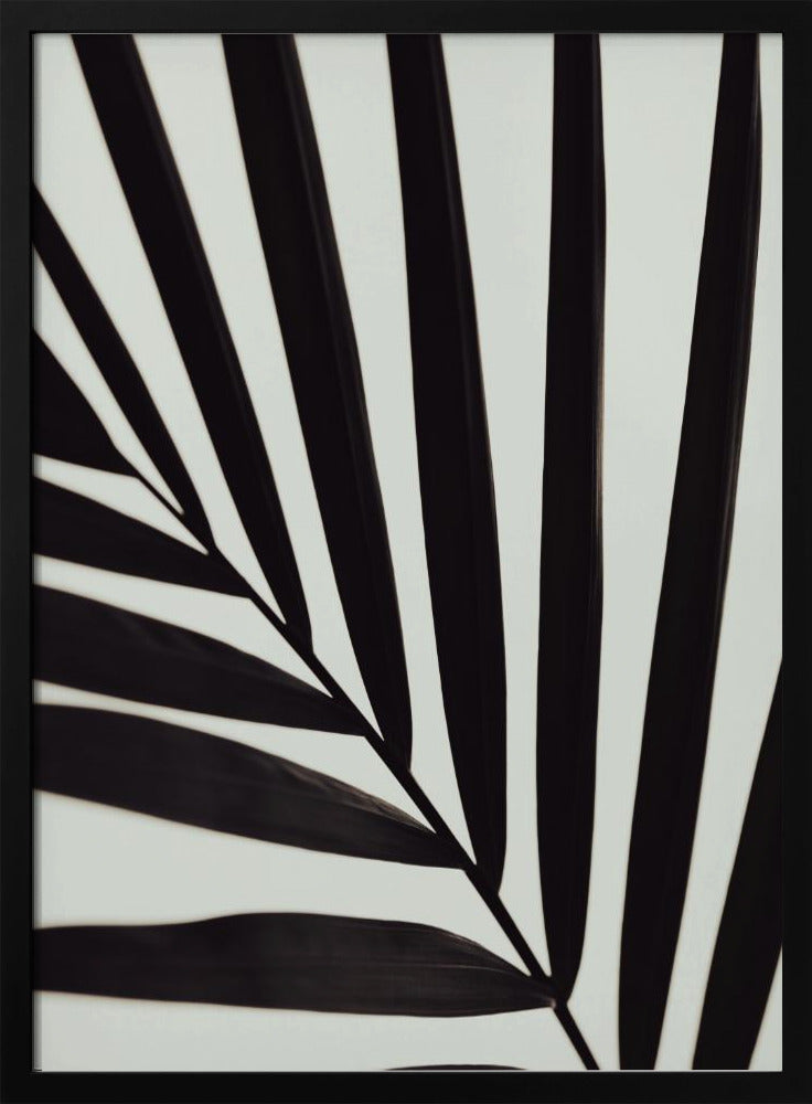 Grafik Palmblatt_1 | Poster