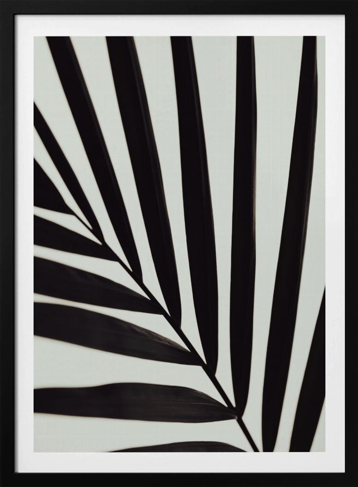 Grafik Palmblatt_1 | Poster