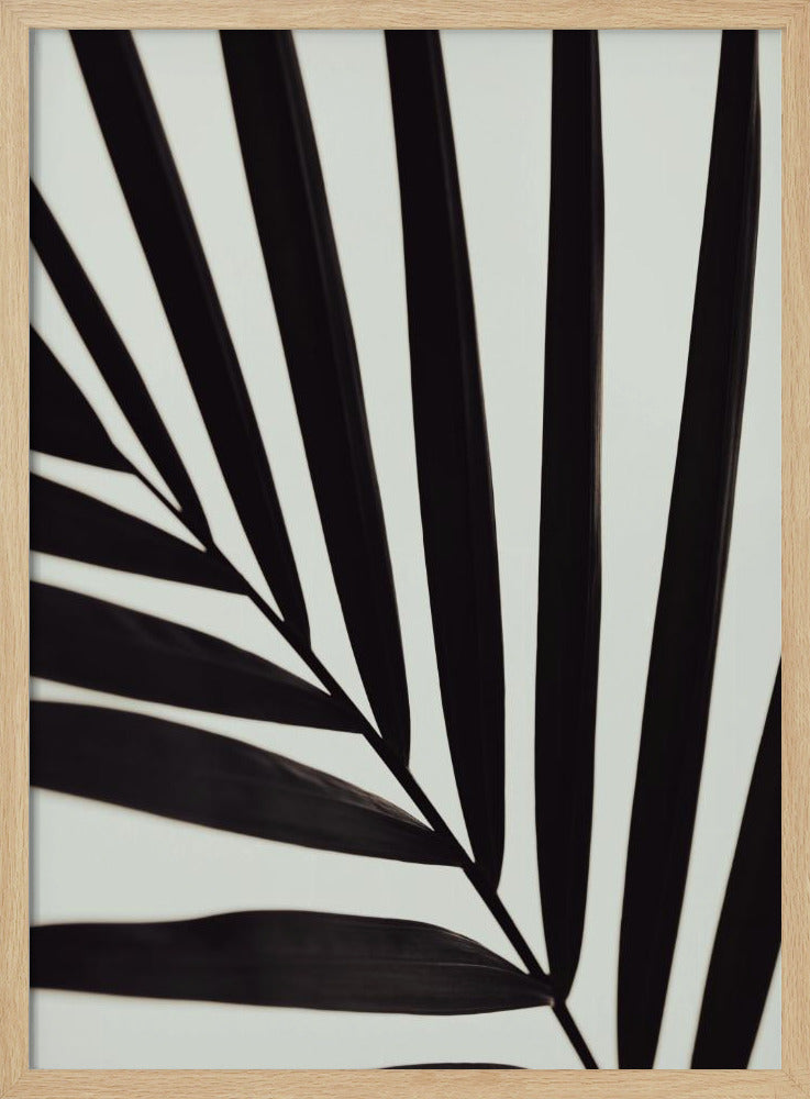 Grafik Palmblatt_1 | Poster