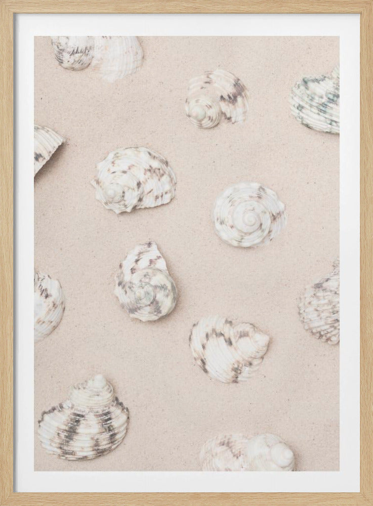 Muscheln_2 | Poster