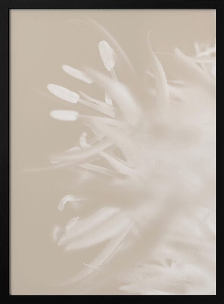 Blume Beige_1 | Poster
