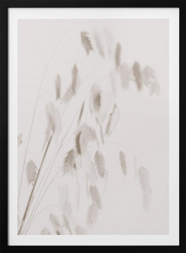 Getrocknetes Gras_rosa | Poster