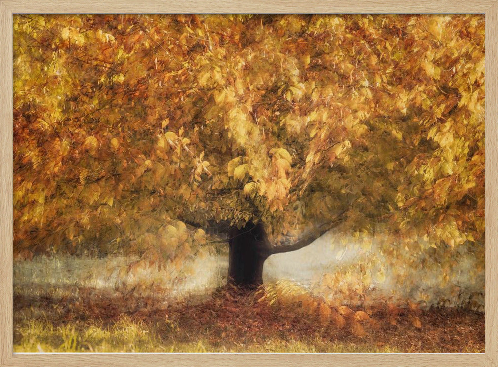 Goldfarben | Poster