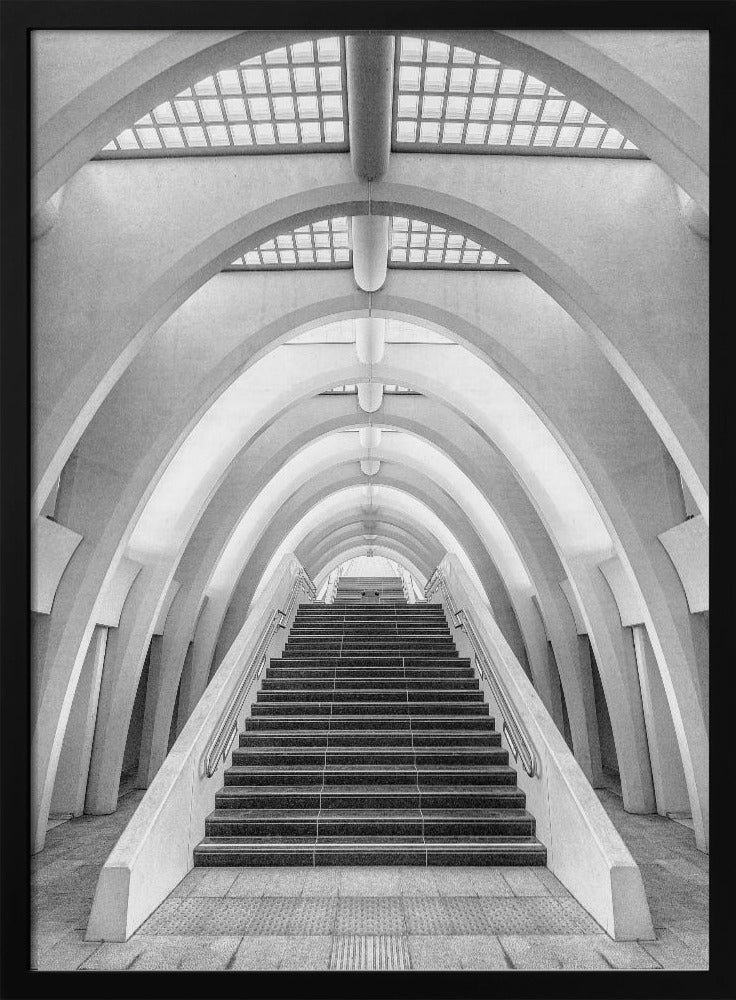 Calatrava-Linien | Poster