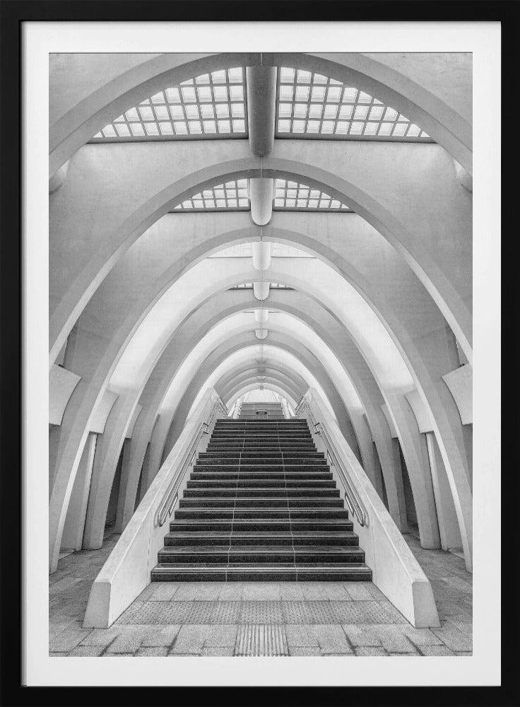 Calatrava-Linien | Poster