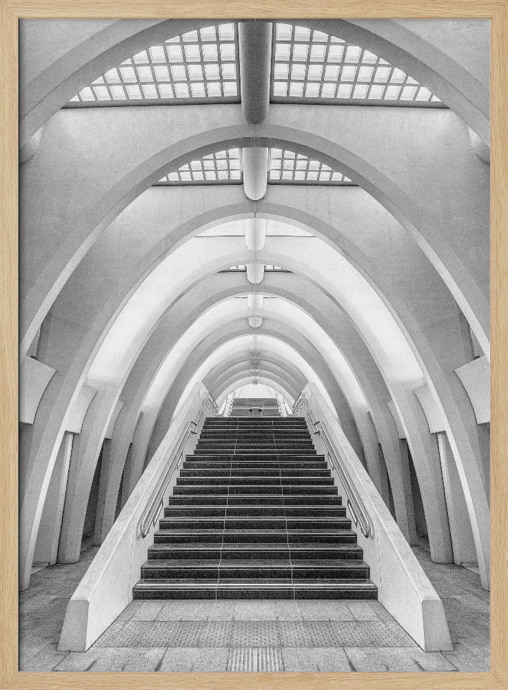 Calatrava-Linien | Poster