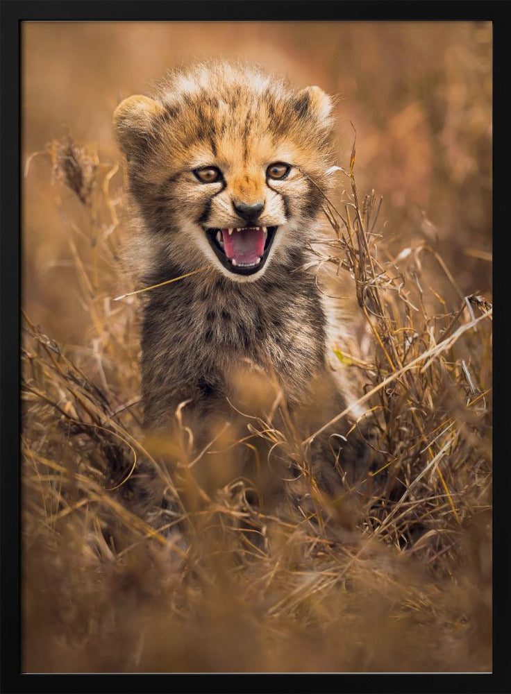 Big Smile | Poster