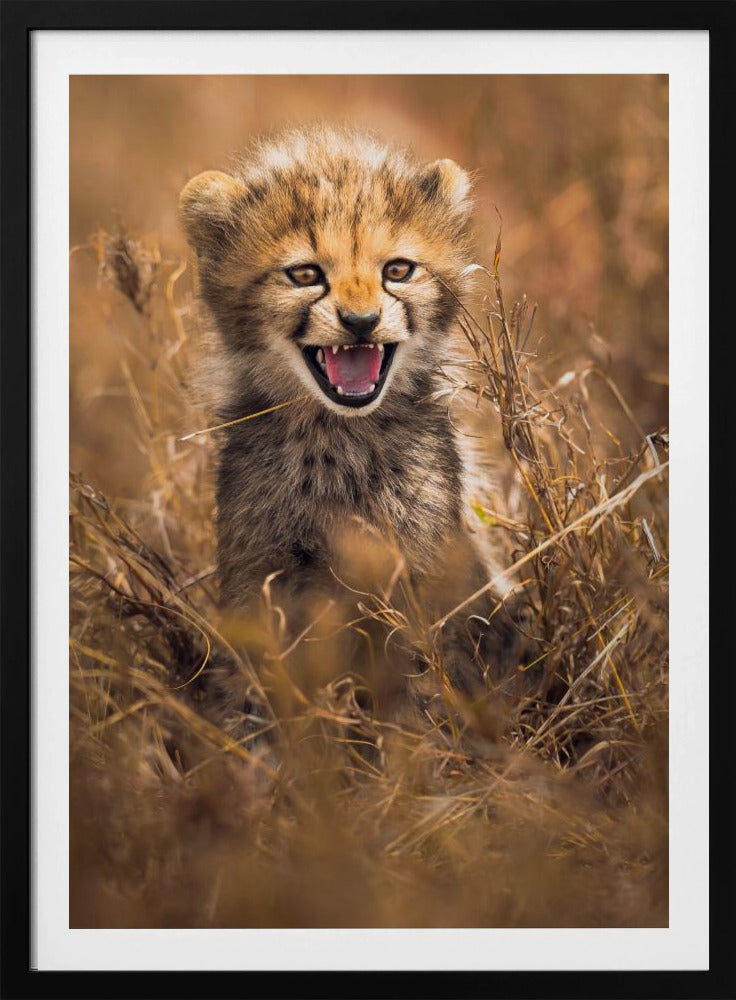 Big Smile | Poster