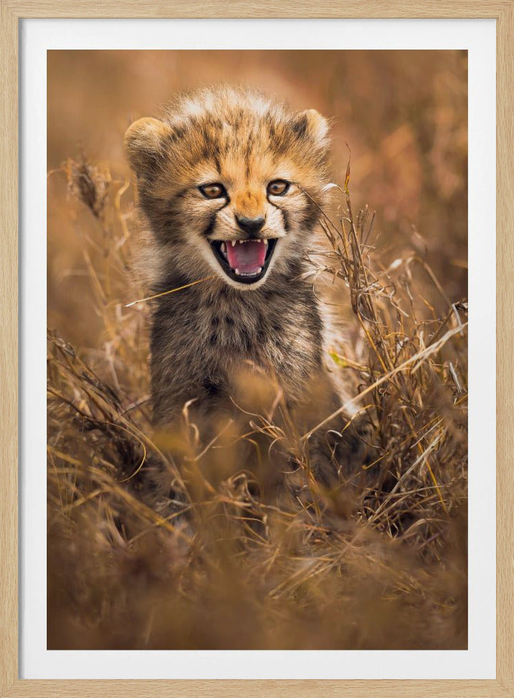Big Smile | Poster