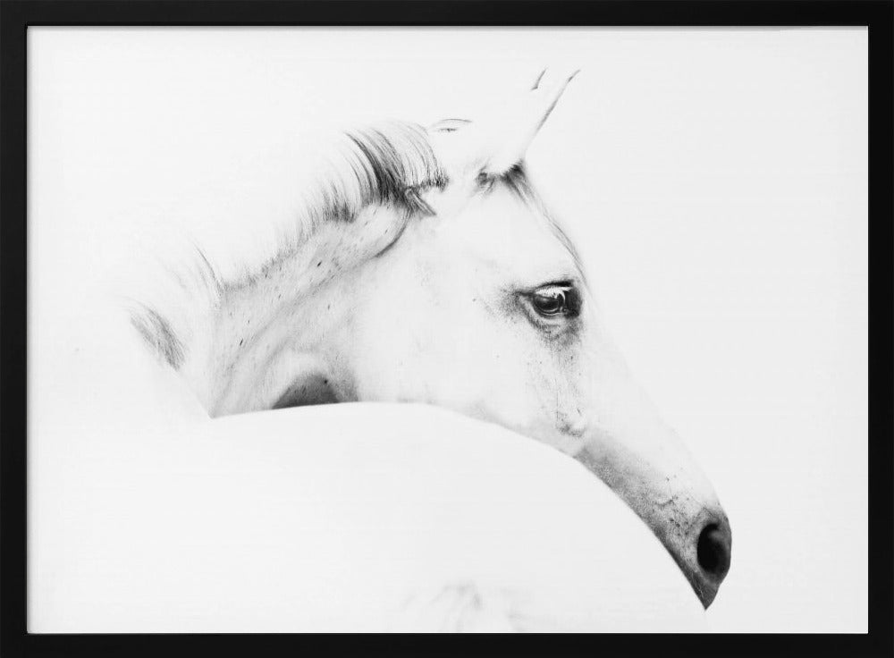 Pferd und Minimalismus | Poster