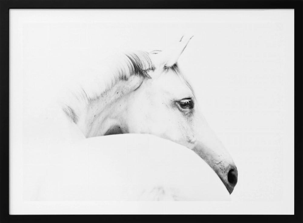 Pferd und Minimalismus | Poster