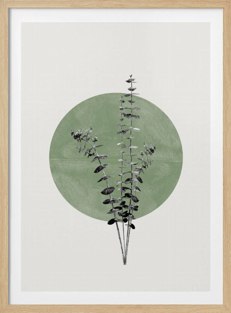 Nature&#039;s Echo | Poster