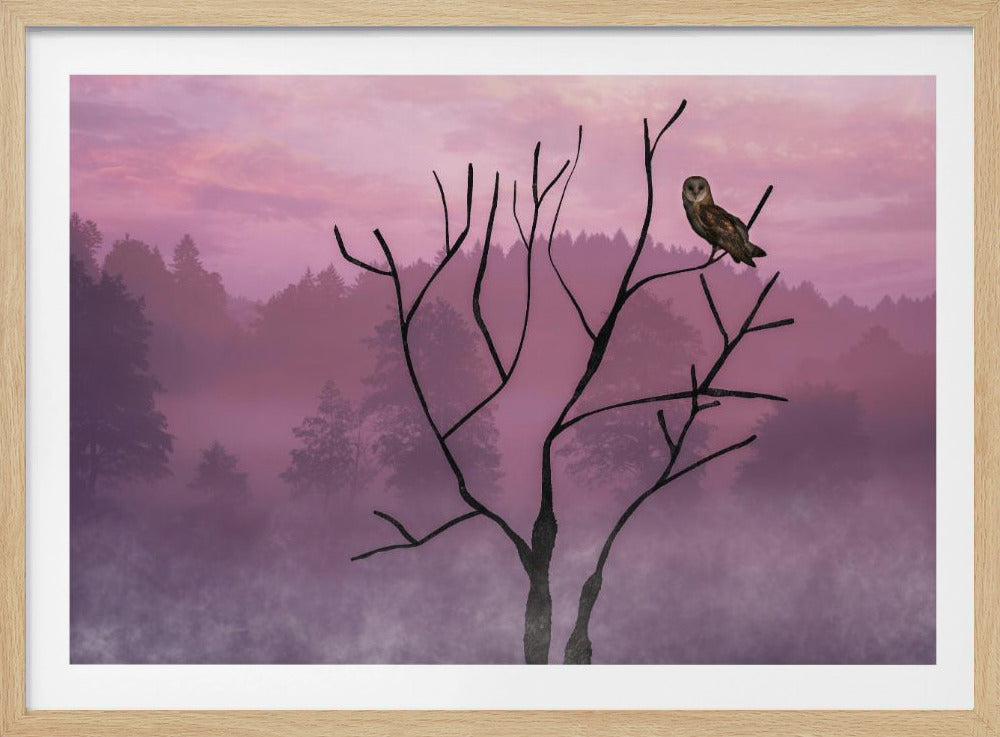 Rosa Himmel am Morgen | Poster