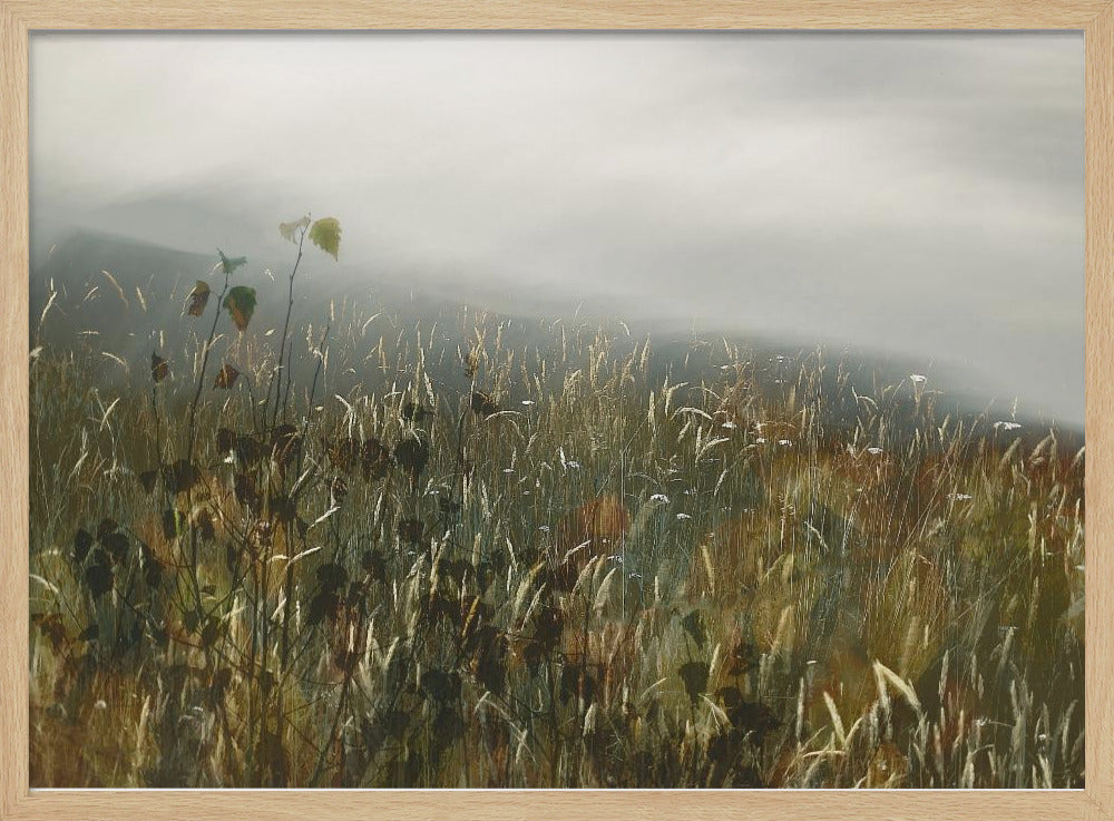 In the field | Poster