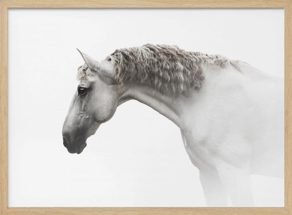 Lockiges Haar… | Poster