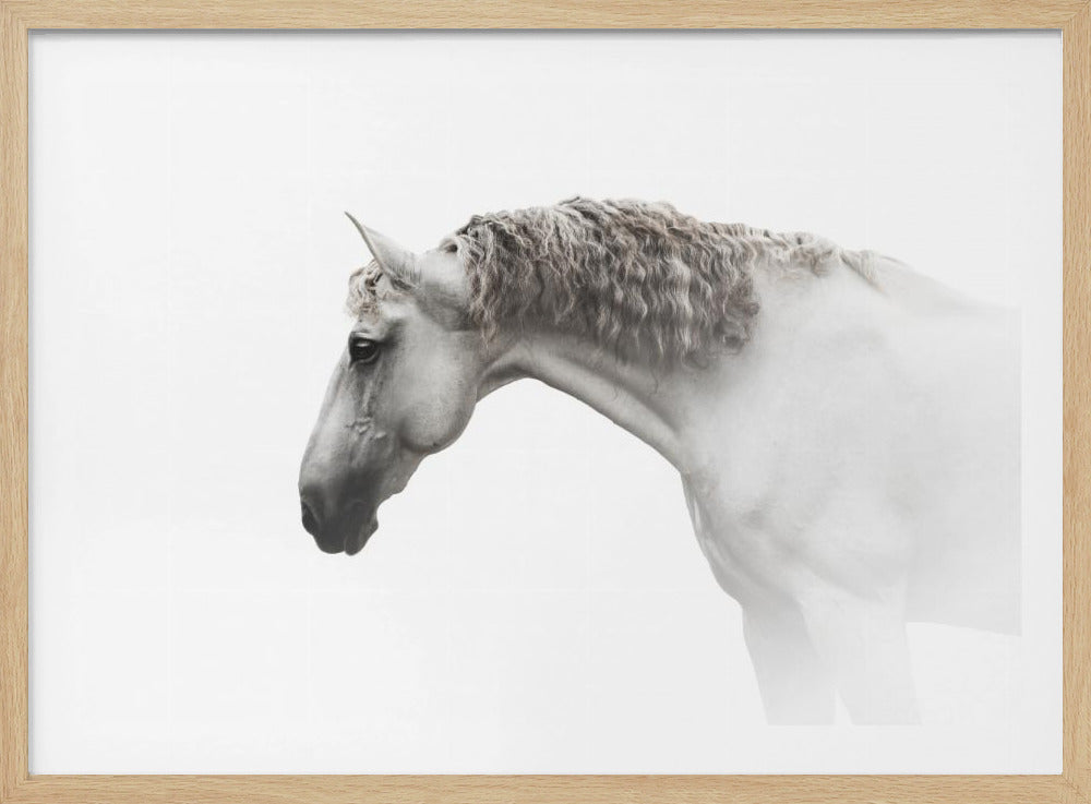 Lockiges Haar… | Poster