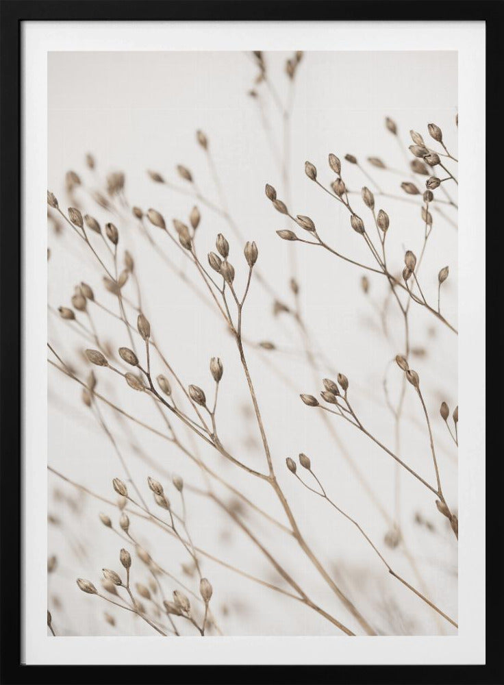 Wildes Gras | Poster