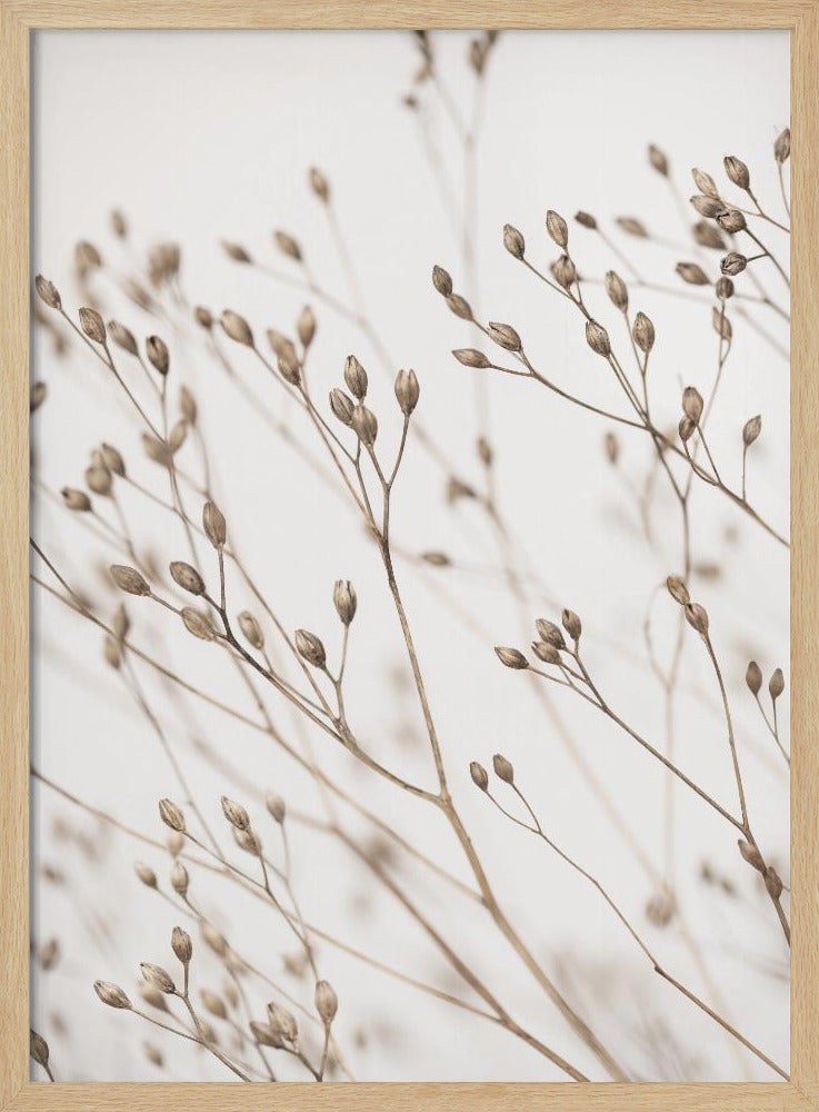 Wildes Gras | Poster