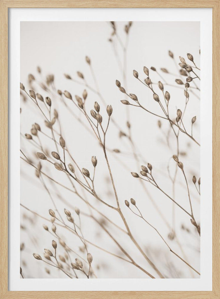 Wildes Gras | Poster