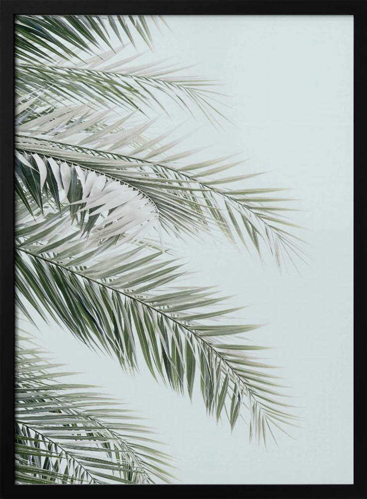 Blaue Palmen | Poster
