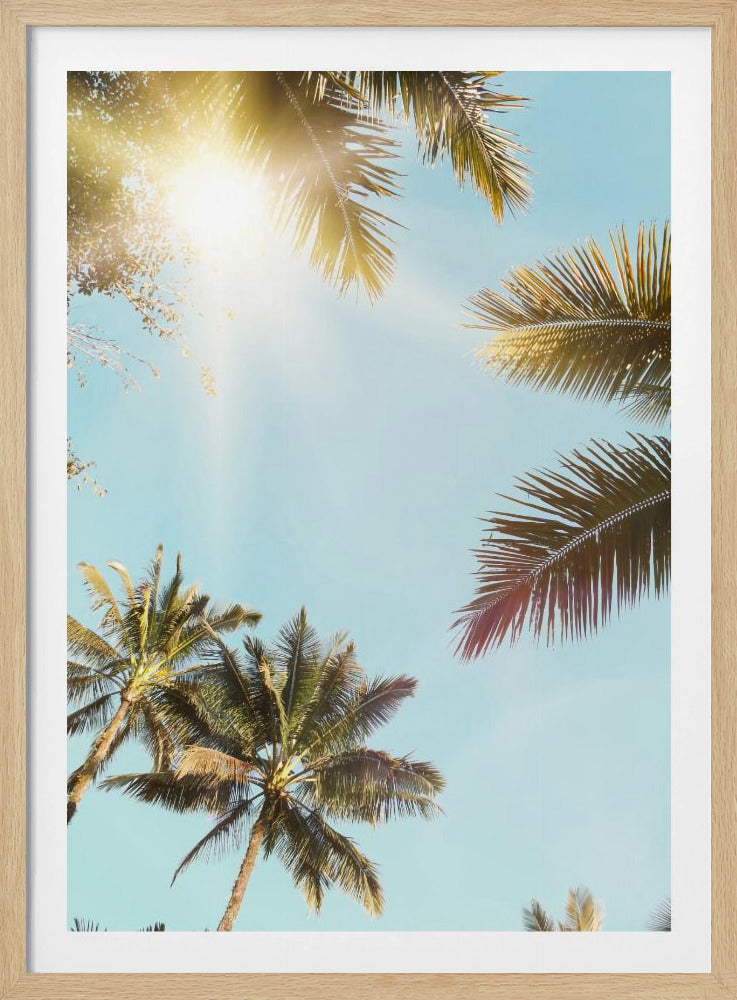 Sun Rays | Poster