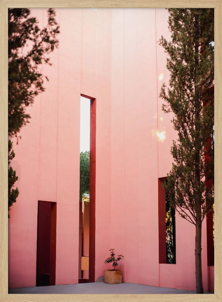 Muralla Roja | Poster