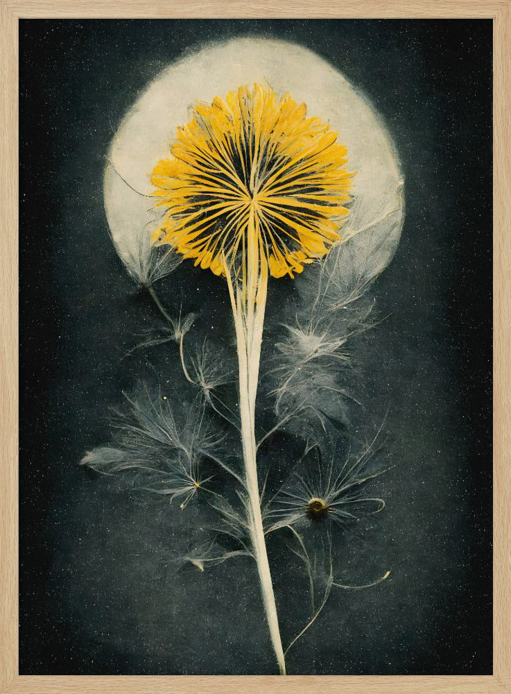 Himmlische Blüte | Poster