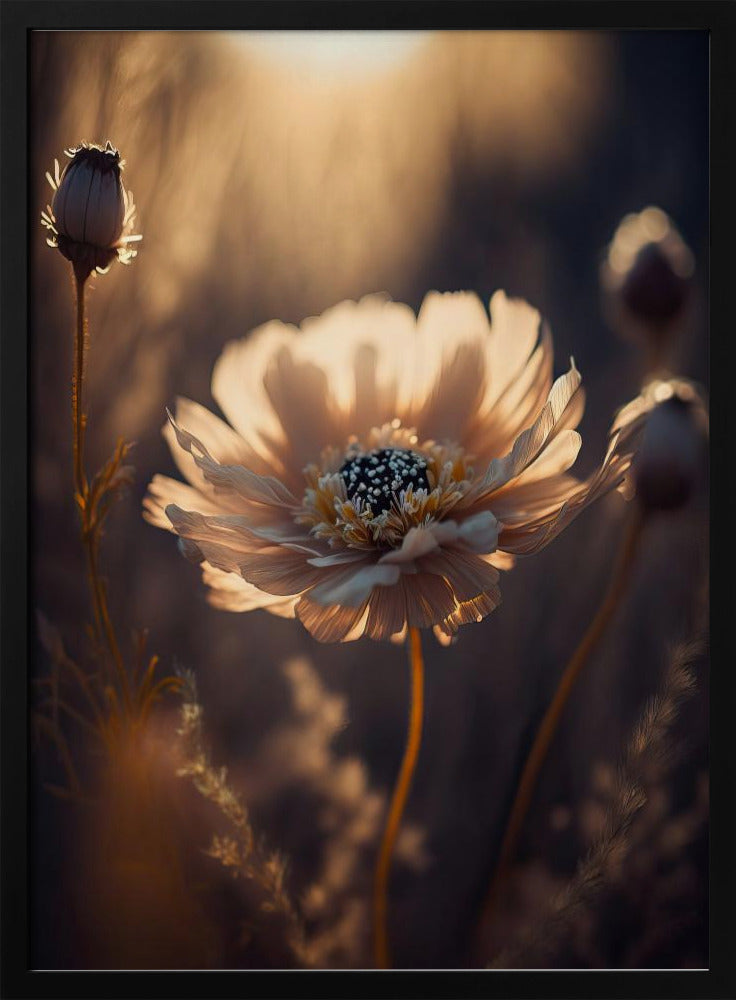 Sunlit Blossom | Poster
