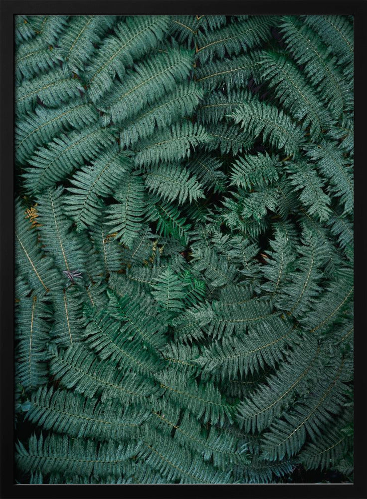 Green Leaves | Poster