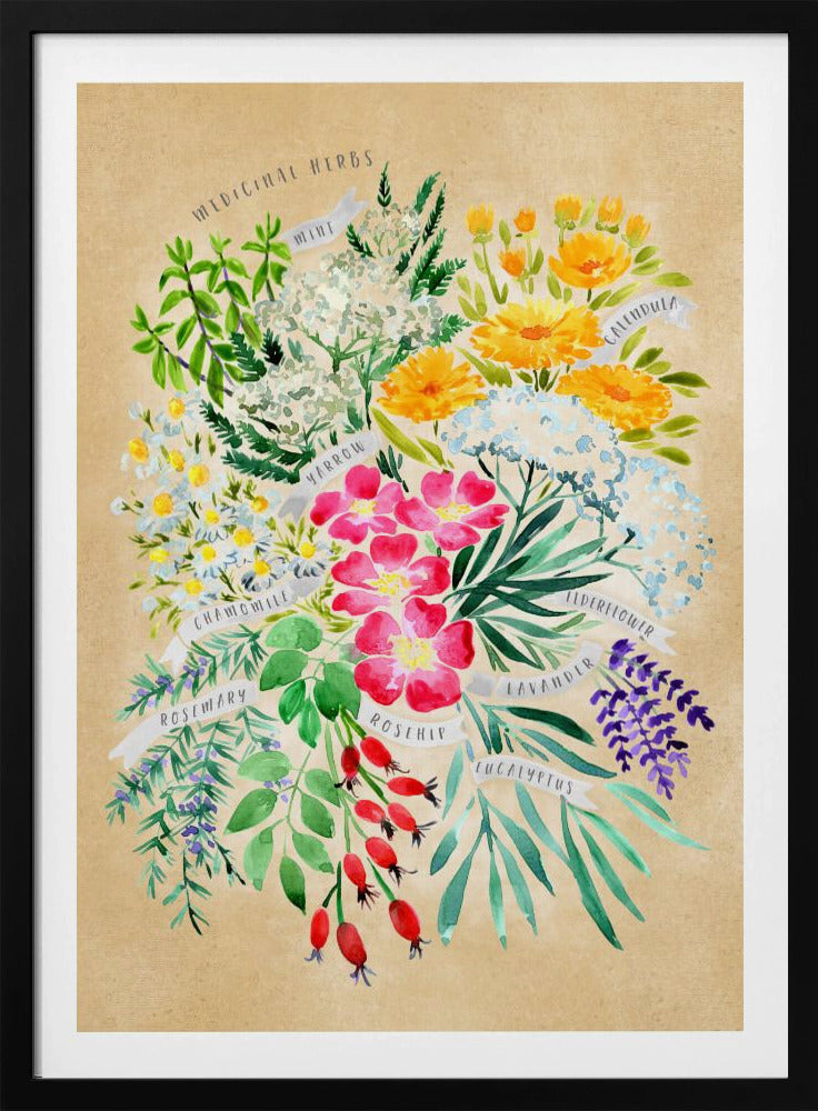 Medicinal herbs in vintage sepia | Poster