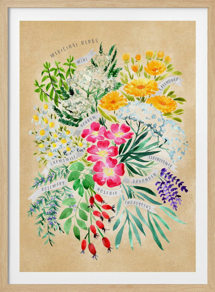 Medicinal herbs in vintage sepia | Poster