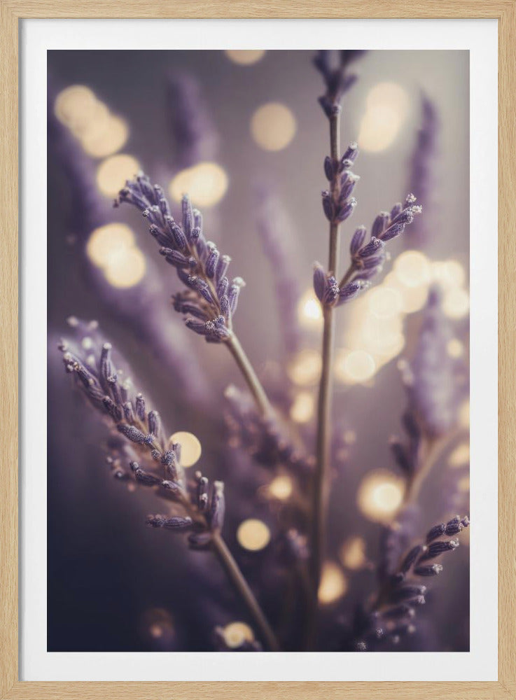 Lavendelträume | Poster
