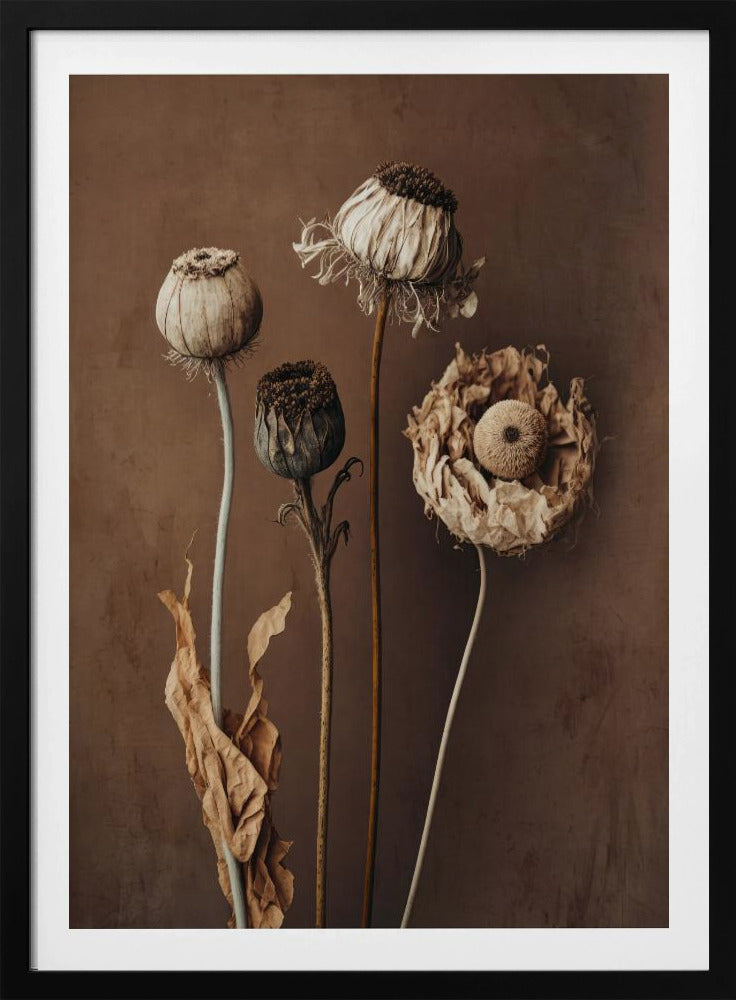 Verblasste Eleganz | Poster