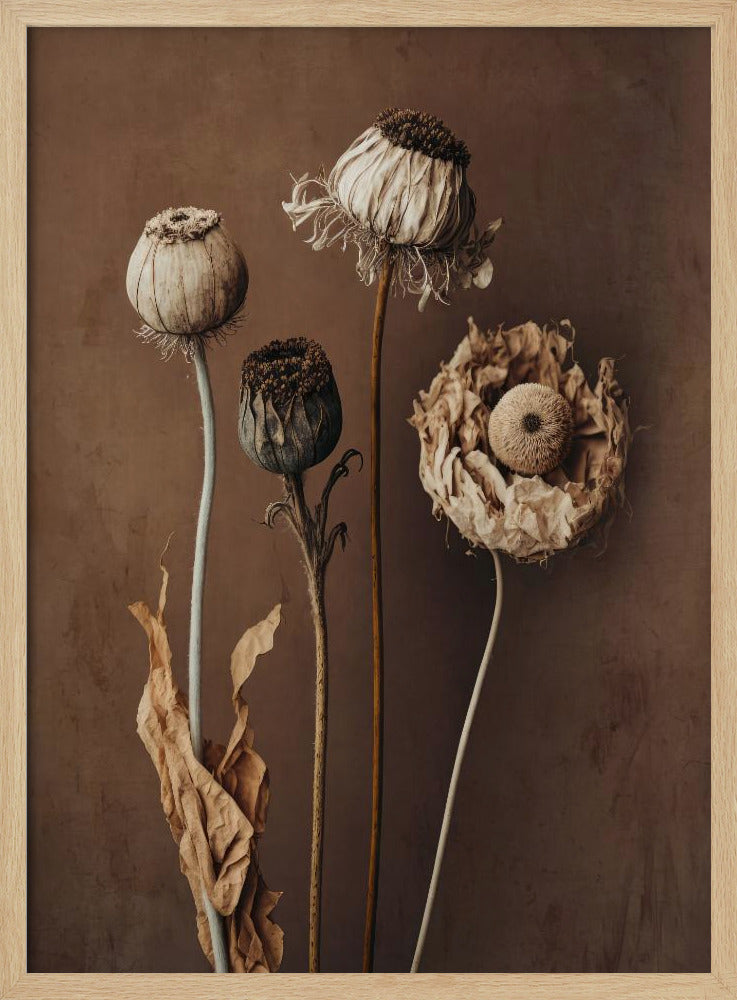 Verblasste Eleganz | Poster