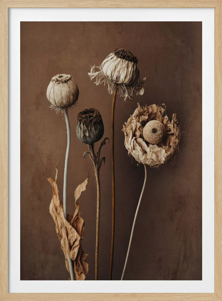 Verblasste Eleganz | Poster