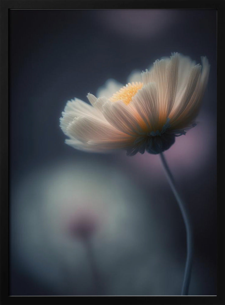 Ätherische Blüte | Poster