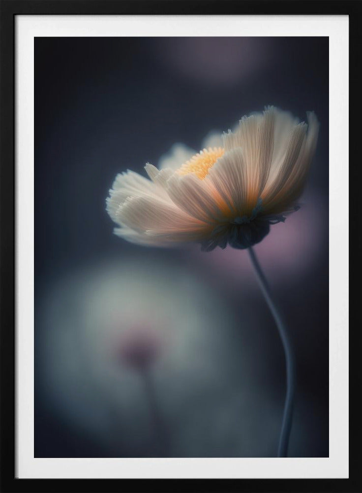 Ätherische Blüte | Poster