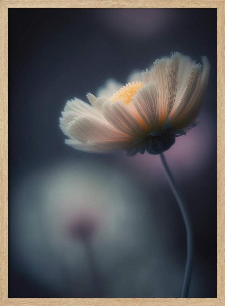 Ätherische Blüte | Poster