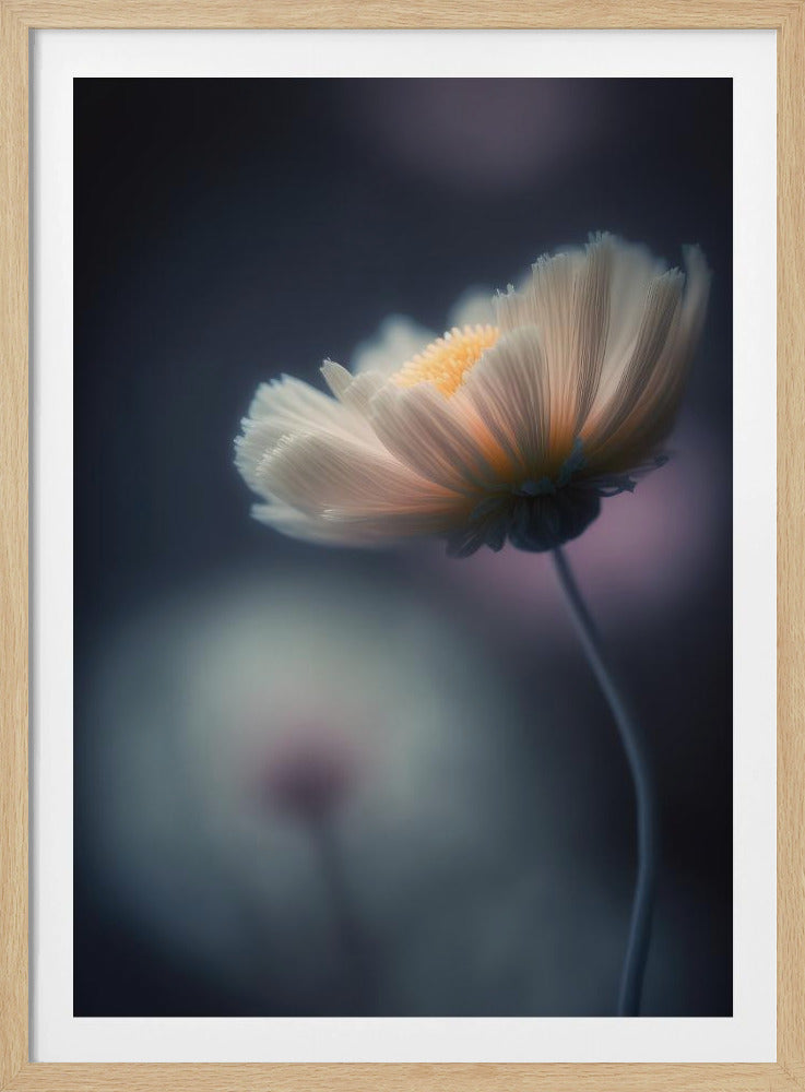 Ätherische Blüte | Poster