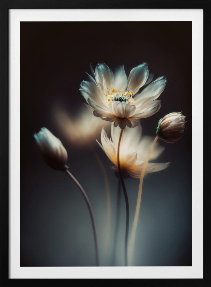 Ätherische Blüten | Poster
