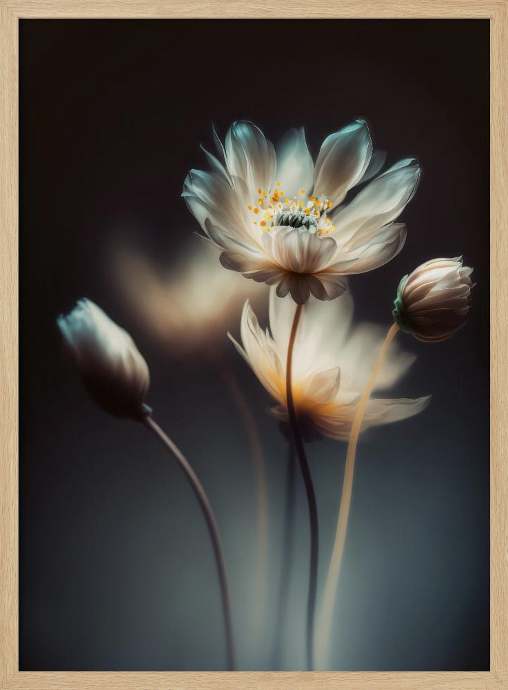 Ätherische Blüten | Poster