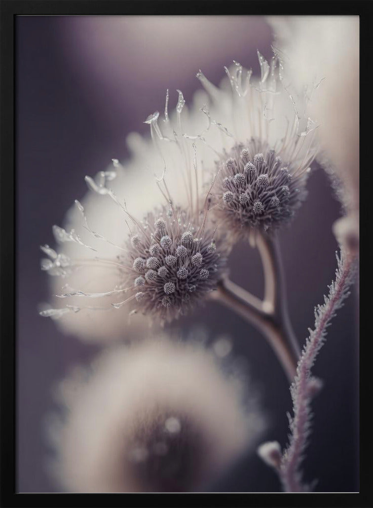 Ätherische Blüten | Poster