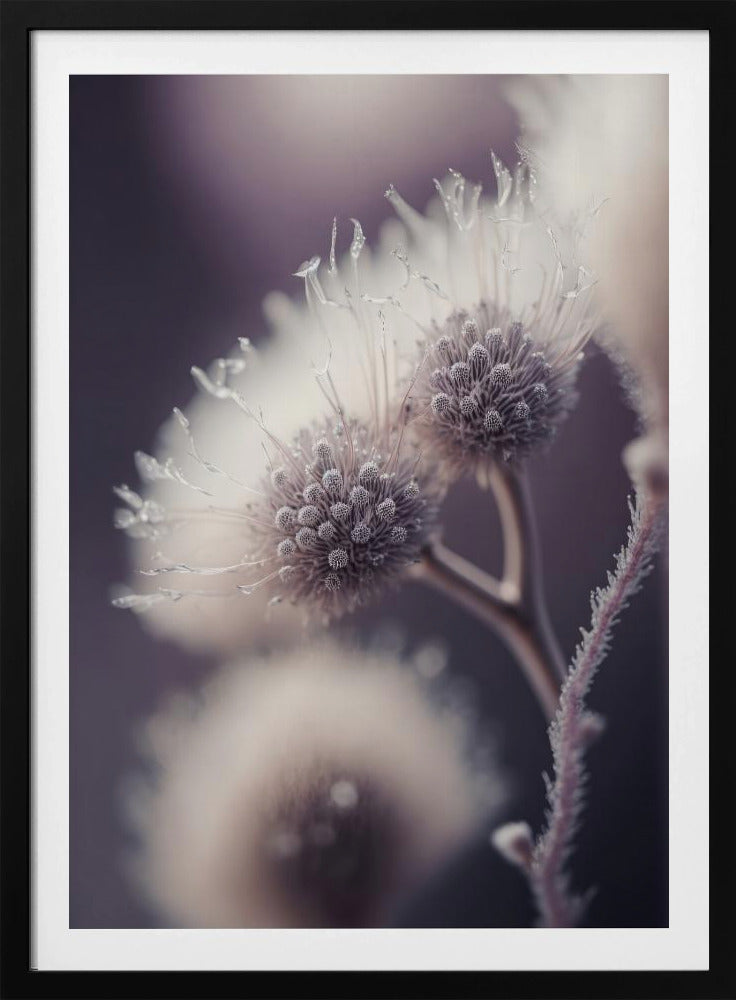 Ätherische Blüten | Poster