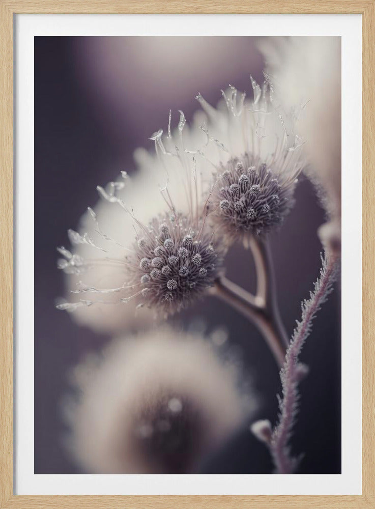 Ätherische Blüten | Poster