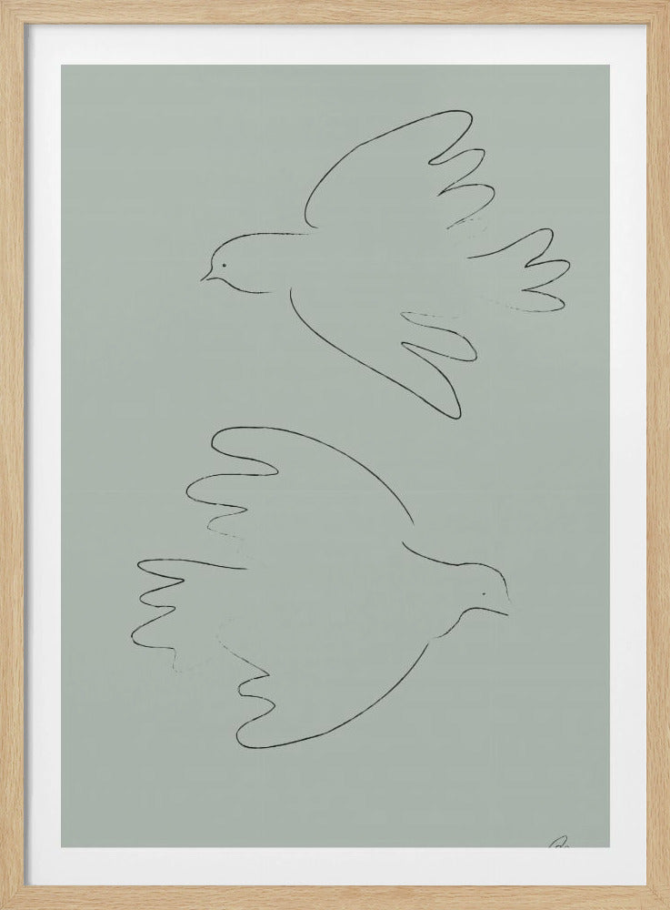 TAUBEN Grün | Poster