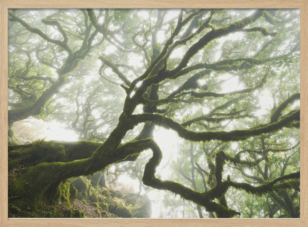 Magischer Moment | Poster