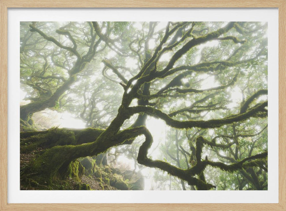 Magischer Moment | Poster