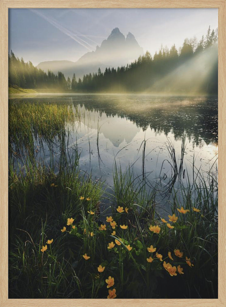 Bergparadies | Poster