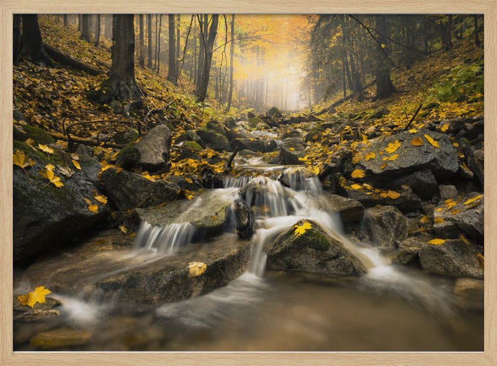 Herbstbach | Poster