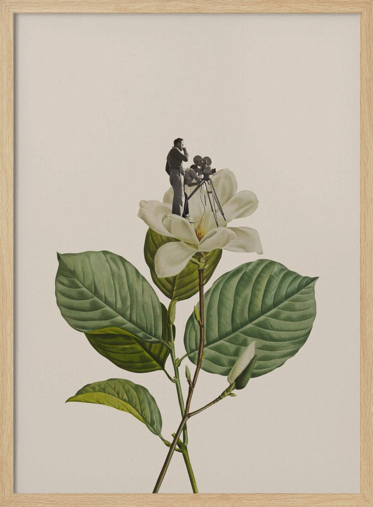 Botanischer Vintage-Kameramann | Poster